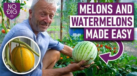 Melony Melons Tube